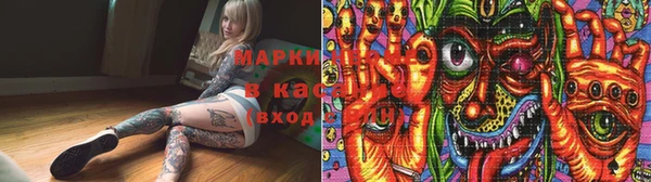 ГАЛЛЮЦИНОГЕННЫЕ ГРИБЫ Тавда