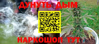 стаф Будённовск