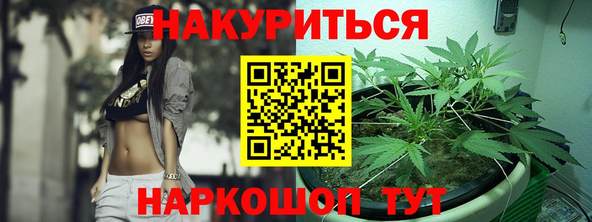 Бошки марихуана план  Конопля VHQ  Гай 