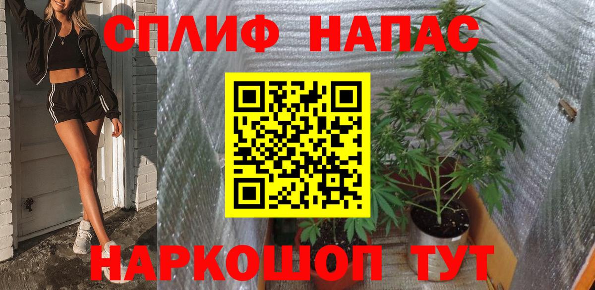 Шишки марихуана план  Вход с VPN  Марихуана MAZAR  Гай  МАРИХУАНА марихуана  Конопля Amnesia 